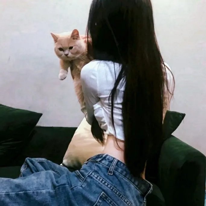 猫样少女